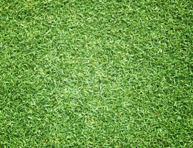 Golf sahaları yeşil çim