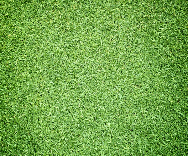 Golfplätze grüner Rasen — Stockfoto