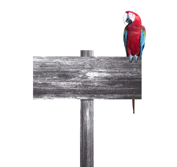 鳥と木の看板 — ストック写真