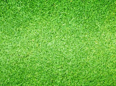 Golf sahaları yeşil çim