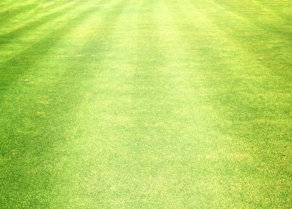 Golf Courses green lawn — Stock Photo, Image