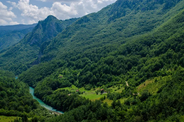 Montenegró, Tara kanyon — Stock Fotó