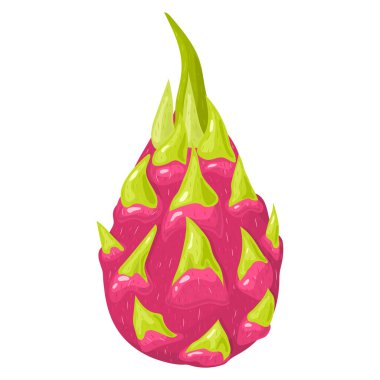 Beyaz arka planda izole edilmiş taze kırmızı pitaya meyveleri. Sağlıklı yaşam için yaz meyveleri. Organik meyve. Çizgi film tarzı. Herhangi bir tasarım için vektör illüstrasyonu.