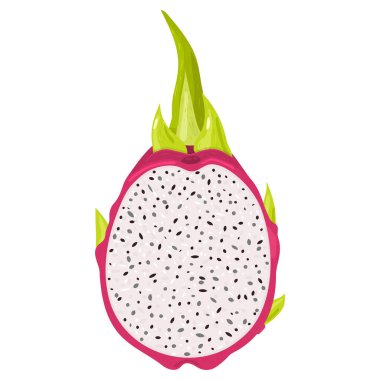 Beyaz arka planda izole edilmiş taze kırmızı pitaya meyveleri. Sağlıklı yaşam için yaz meyveleri. Organik meyve. Çizgi film tarzı. Herhangi bir tasarım için vektör illüstrasyonu.