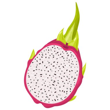 Beyaz arka planda izole edilmiş taze kırmızı pitaya meyveleri. Sağlıklı yaşam için yaz meyveleri. Organik meyve. Çizgi film tarzı. Herhangi bir tasarım için vektör illüstrasyonu