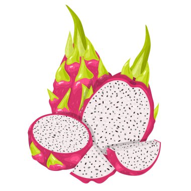 Taze taze, yarım dilimlenmiş, beyaz arka planda izole edilmiş kırmızı pitaya meyveleri. Sağlıklı yaşam için yaz meyveleri. Organik meyve. Çizgi film tarzı. Herhangi bir tasarım için vektör illüstrasyonu