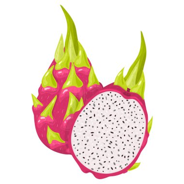 Beyaz arka planda taze ve yarım kırmızı pitaya meyvesi. Sağlıklı yaşam için yaz meyveleri. Organik meyve. Çizgi film tarzı. Herhangi bir tasarım için vektör illüstrasyonu