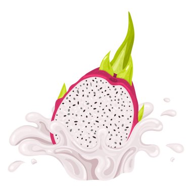 Beyaz arka planda taze, kırmızı, yarım pitaya suyu sıçraması. Yaz meyve suyu. Çizgi film tarzı. Herhangi bir tasarım için vektör illüstrasyonu