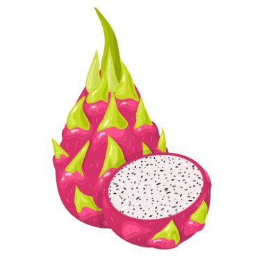 Beyaz arka planda taze ve yarım kırmızı pitaya meyvesi. Sağlıklı yaşam için yaz meyveleri. Organik meyve. Çizgi film tarzı. Herhangi bir tasarım için vektör illüstrasyonu