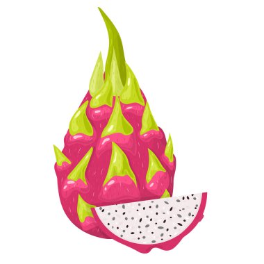 Beyaz arka planda izole edilmiş taze taze ve kesilmiş kırmızı pitaya meyveleri. Sağlıklı yaşam için yaz meyveleri. Organik meyve. Çizgi film tarzı. Herhangi bir tasarım için vektör illüstrasyonu