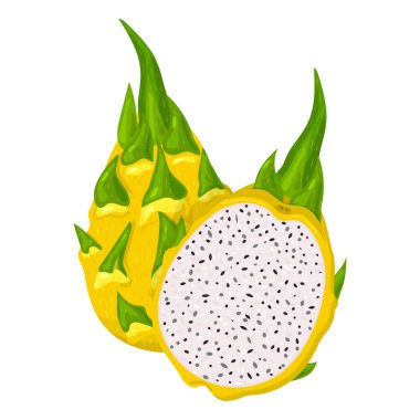 Beyaz arka planda izole edilmiş taze ve yarım kesilmiş sarı pitaya meyveleri. Sağlıklı yaşam için yaz meyveleri. Organik meyve. Çizgi film tarzı. Herhangi bir tasarım için vektör illüstrasyonu