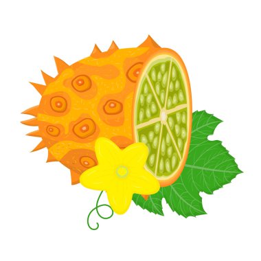 Beyaz arka planda yapraklı ve çiçekli taze sarı kiwano meyvesi. Sağlıklı yaşam için yaz meyveleri. Organik meyve. Çizgi film tarzı. Herhangi bir tasarım için vektör illüstrasyonu.