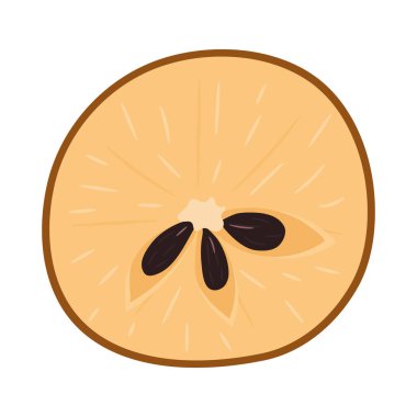 Beyaz arka planda izole edilmiş taze sapodilla meyvesi. Sağlıklı yaşam için yaz meyveleri. Organik meyve. Çizgi film tarzı. Herhangi bir tasarım için vektör illüstrasyonu.