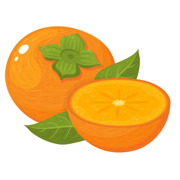 Čerstvé Celé Napůl Nakrájené Plody Persimmonu Izolované Bílém Pozadí Letní — Stockový vektor