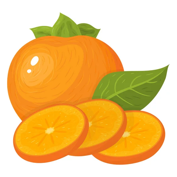 Verse Hele Gesneden Plakjes Persimmon Fruit Geïsoleerd Witte Achtergrond Zomervruchten — Stockvector