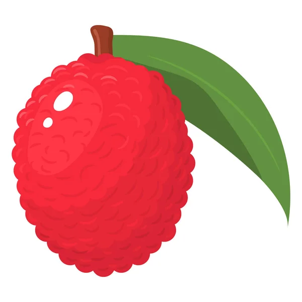 Verse Hele Lychee Fruit Met Blad Geïsoleerd Witte Achtergrond Zomervruchten — Stockvector