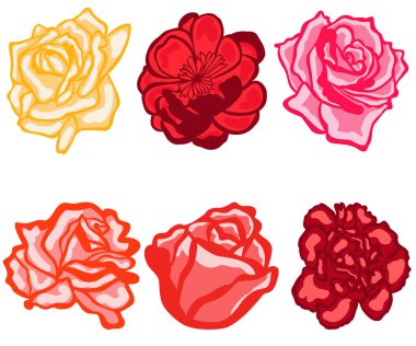 Beyaz arka planda izole güller. Vektör İllüstrasyonu