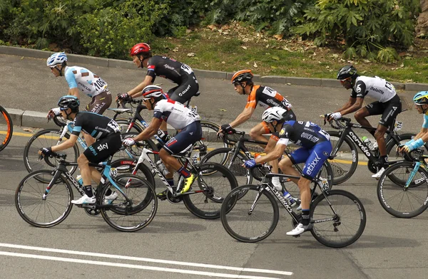 Pack de ciclistas durante el Tour de Cataluña — Foto de Stock
