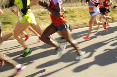 Çalıştırıcılar