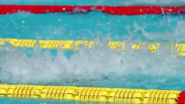 Iceland swimmer Anton Sveinn McKee swimming butterfly — Stock Video