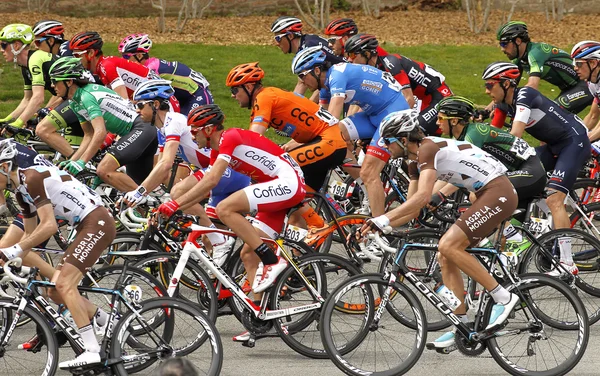 Pack of the cyclists ride during the Tour of Catalonia — Stock Photo, Image