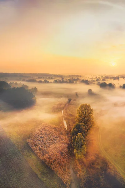 Misty τοπίο χωριό αυγή - δέντρα κοντά σε ένα μικρό ποτάμι στα σύννεφα της ομίχλης — Φωτογραφία Αρχείου