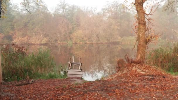 小さな橋へのスパンでドリー-川の岸に霧の朝。 — ストック動画