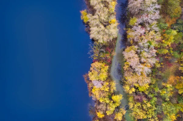 青いきれいな湖の近くにカラフルな秋の森-空中ビュー。コピースペース. — ストック写真