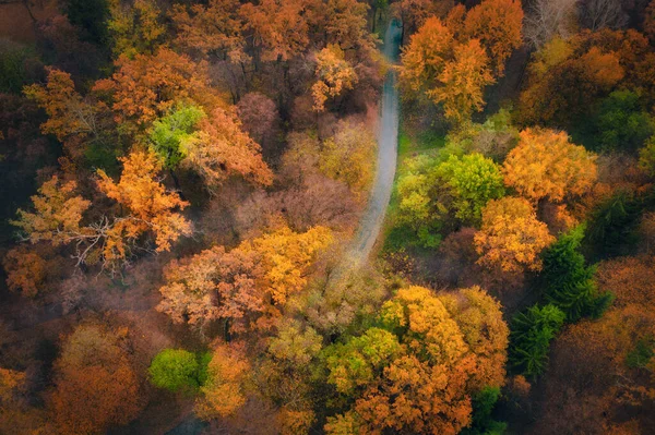 Drone Vista aérea de la carretera en el hermoso bosque de otoño - Vista superior tiro drone. — Foto de Stock