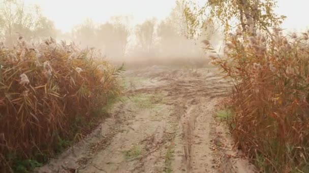 Dolly In vliegende drone over kuil gewassen onverharde weg met trechters van schelpen op Donbas — Stockvideo