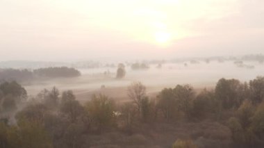 Yakın çekim - sisli bir sonbahar çayırının üzerinden sabah erken saatlerde nehirde alçak uçuş