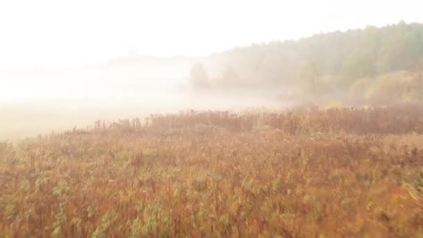 Een snelle vlucht over gedroogde vergeelde gras en weide op de oever van de rivier in de mist van de herfstochtend — Stockvideo