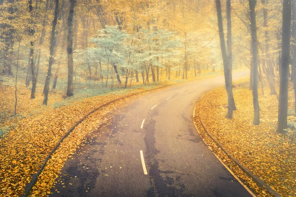 Herbstliche gebogene Asphaltstraße im vergilbten Wald im nebligen Dunst — Stockfoto