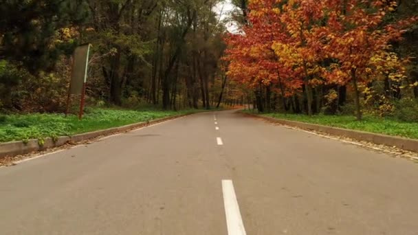 Прогулка по осенней лесной дороге с видом от первого лица. — стоковое видео