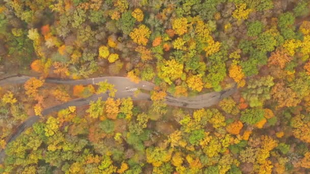 Outono folhagem floresta decídua temperado com caminhadas e ciclovias - Drone Top View shot. — Vídeo de Stock