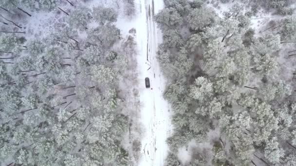 Κάθετη απογείωση πάνω από το αυτοκίνητο σε ένα χιονισμένο δασικό δρόμο σε ένα πευκοδάσος σε χιονισμένο χειμώνα καιρό — Αρχείο Βίντεο