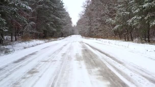 Winter Forest POV road - eerste persoon Achteraanzicht op een besneeuwde bosweg tijdens sneeuwachtig weer — Stockvideo
