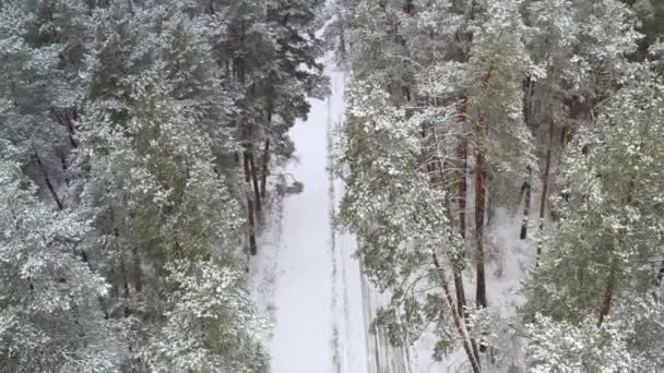 Boom Down Crane Shot der Winter-Kiefernwald und Waldstraße - Kranblick auf einer verschneiten Forststraße — Stockvideo