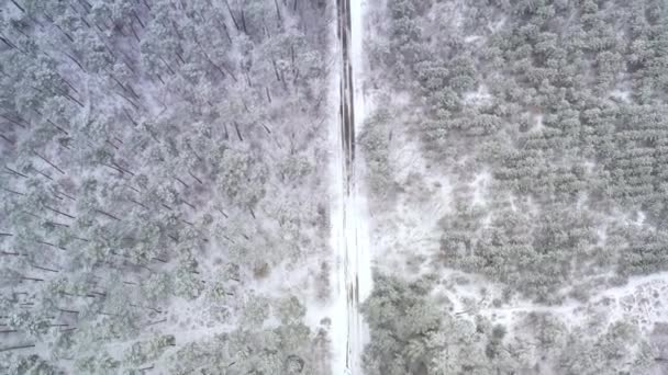 Vuelo por encima de la carretera nevada del bosque de invierno en un bosque de pinos en invierno nevado — Vídeos de Stock