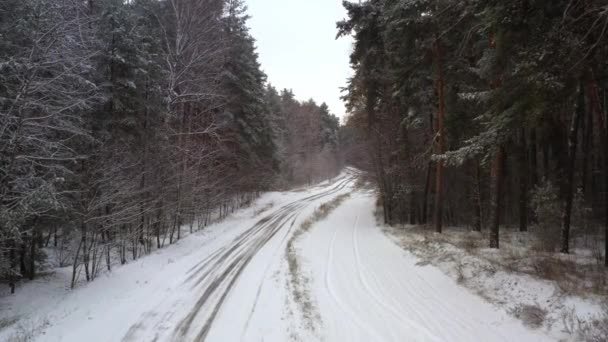 Winter Forest POV Road - Sicht aus erster Hand auf eine verschneite Forststraße bei Schneefall — Stockvideo