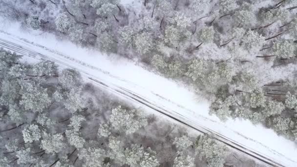 Drohnenflug über Winterwald mit dreckiger Straße an frostigem Tag - Winterwald-Orbit abgeschossen — Stockvideo