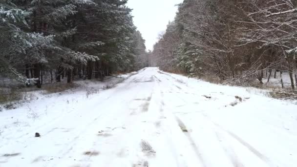 Vista en primera persona en un camino de bosque nevado durante el clima nevado - Camino del bosque de invierno POV — Vídeos de Stock