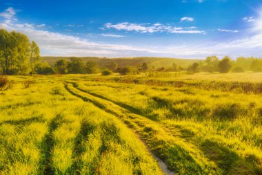 Gün batımında, ormanın kenarındaki eğri toprak yolda.