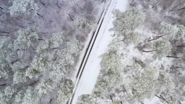 Drohnenschuss auf winterlicher Waldstraße an frostigem Tag — Stockvideo