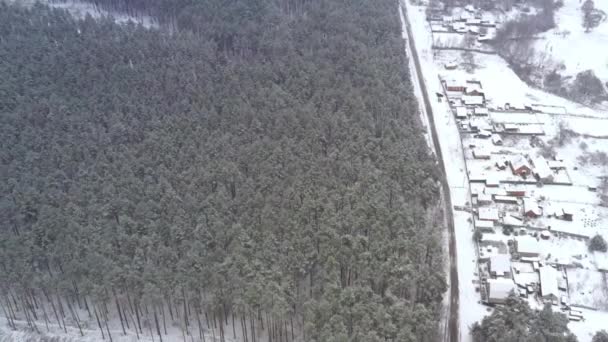 Зона обезлесения на краю леса рядом с деревней зимой в снежную погоду дрон выстрел — стоковое видео