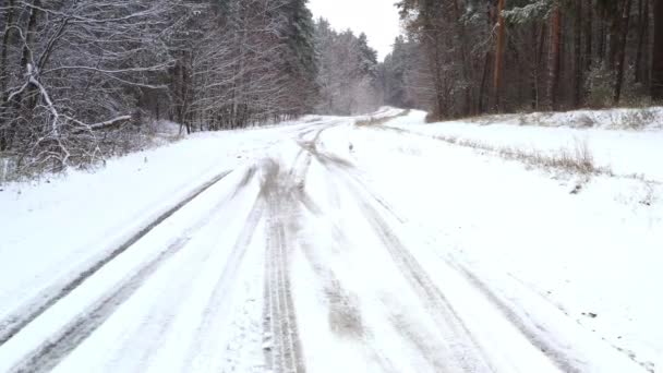 Vinterskog förstapersonsvy på en snöig skogsväg under snöigt väder — Stockvideo