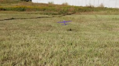 Yavru kız sonbaharda çayıra uçarken yetişiyor.