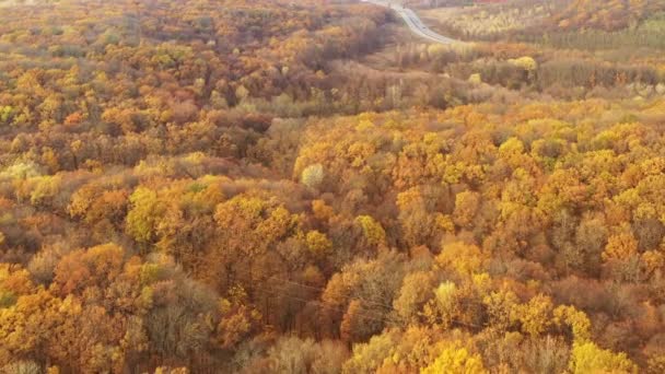 Paisagem de outono florestal - colinas cobertas de floresta com folhagem de outono amarela — Vídeo de Stock