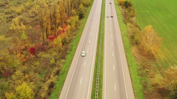 자동차는 가을 날씨가 맑은 곳에서 아스팔트를 따라 운행 한다 — 비디오