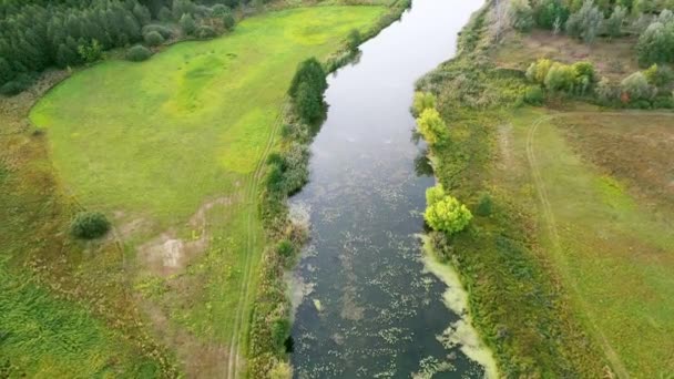 Beschermd natuurgebied - een reservaat ter bescherming van het milieu - uitzicht op drone vanuit de lucht. — Stockvideo